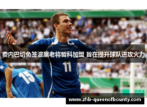 费内巴切免签波黑老将哲科加盟 旨在提升球队进攻火力