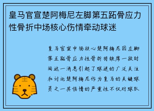 皇马官宣楚阿梅尼左脚第五跖骨应力性骨折中场核心伤情牵动球迷